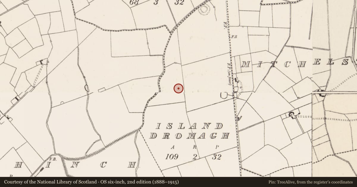 Ordnance Survey six-inch map, 2nd edition (1888–1915) covering the location of Barrow - unclassified, Island Dromagh, County Limerick, with a pin at the register's coordinates