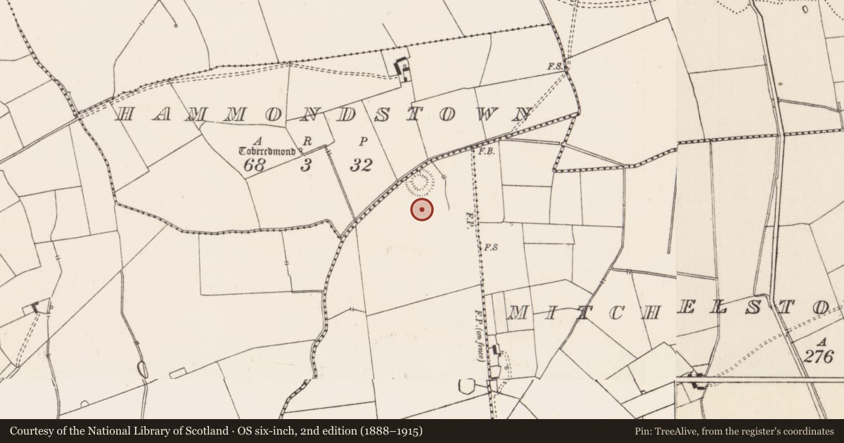 Ordnance Survey six-inch map, 2nd edition (1888–1915) covering the location of Earthwork, Island Dromagh, County Limerick, with a pin at the register's coordinates