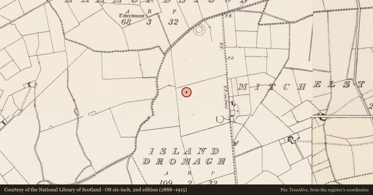 Ordnance Survey six-inch map, 2nd edition (1888–1915) covering the location of Earthwork, Island Dromagh, County Limerick, with a pin at the register's coordinates