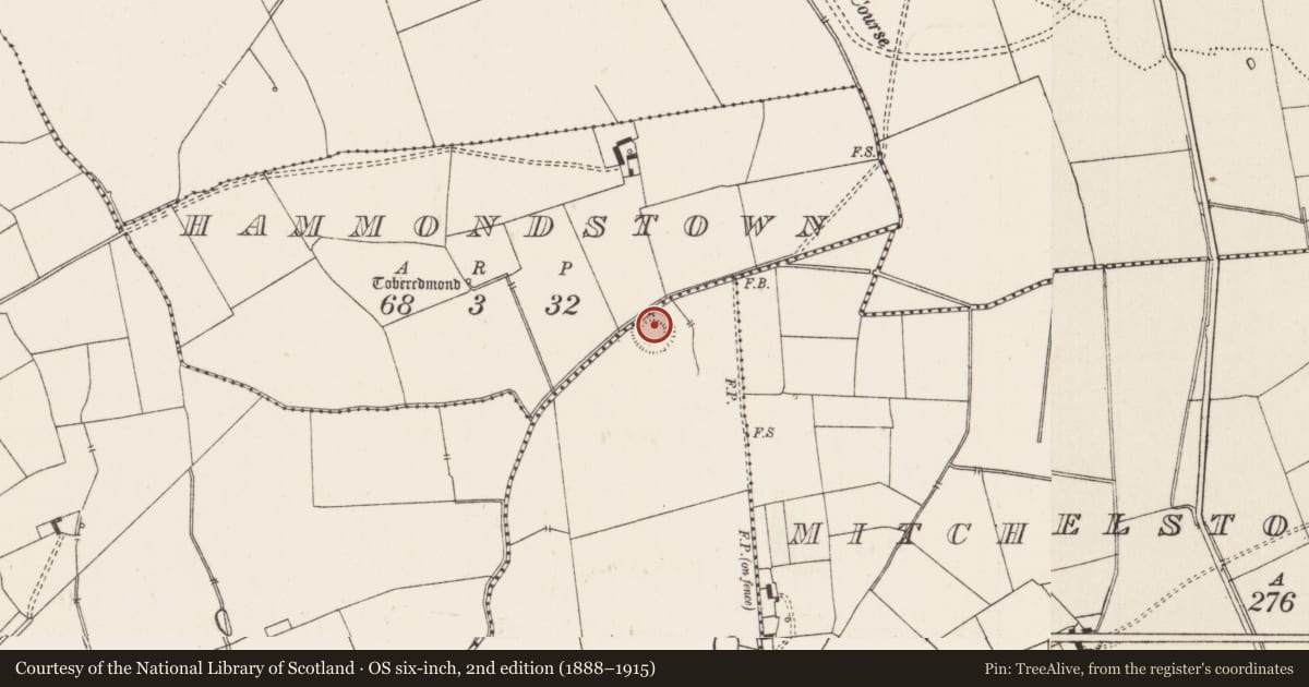Ordnance Survey six-inch map, 2nd edition (1888–1915) covering the location of Barrow - unclassified, Island Dromagh, County Limerick, with a pin at the register's coordinates
