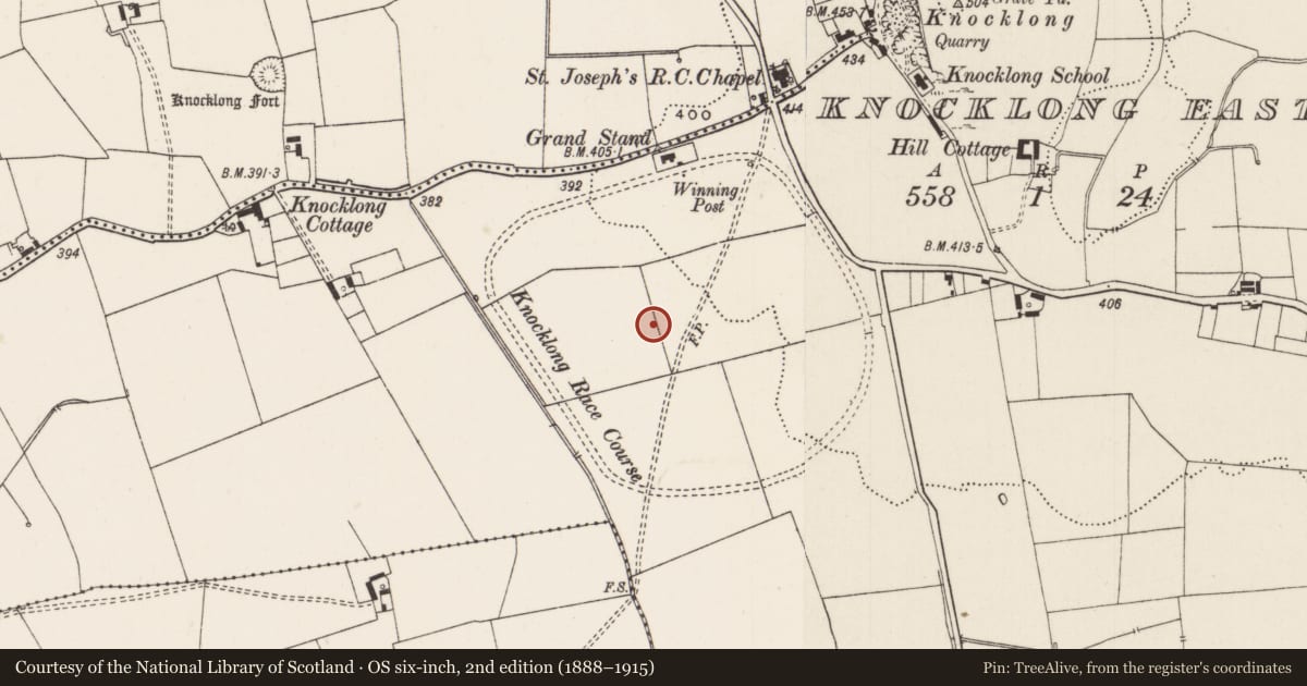 Ordnance Survey six-inch map, 2nd edition (1888–1915) covering the location of Field system, Knocklong East, County Limerick, with a pin at the register's coordinates