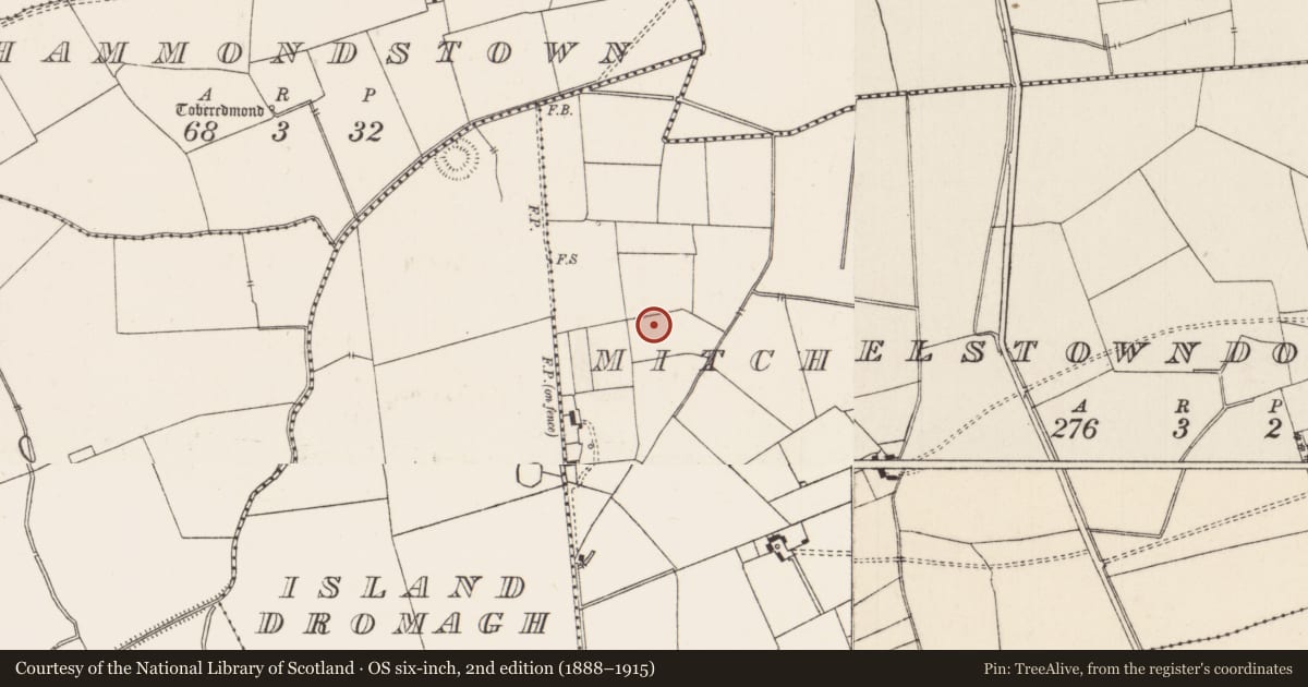 Ordnance Survey six-inch map, 2nd edition (1888–1915) covering the location of Cremation pit, Mitchelstowndown North, County Limerick, with a pin at the register's coordinates
