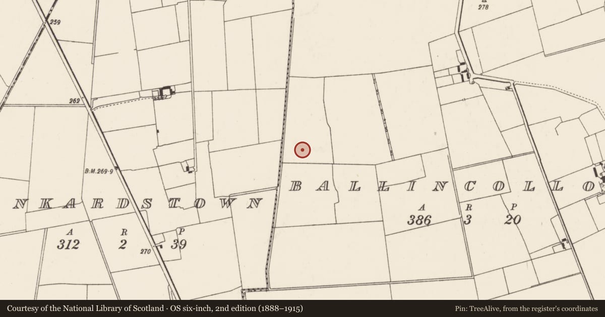 Ordnance Survey six-inch map, 2nd edition (1888–1915) covering the location of Barrow - unclassified, Ballincolloo, County Limerick, with a pin at the register's coordinates