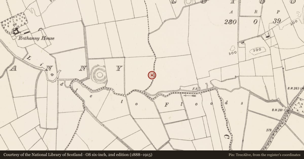 Ordnance Survey six-inch map, 2nd edition (1888–1915) covering the location of Earthwork, Rathanny, County Limerick, with a pin at the register's coordinates