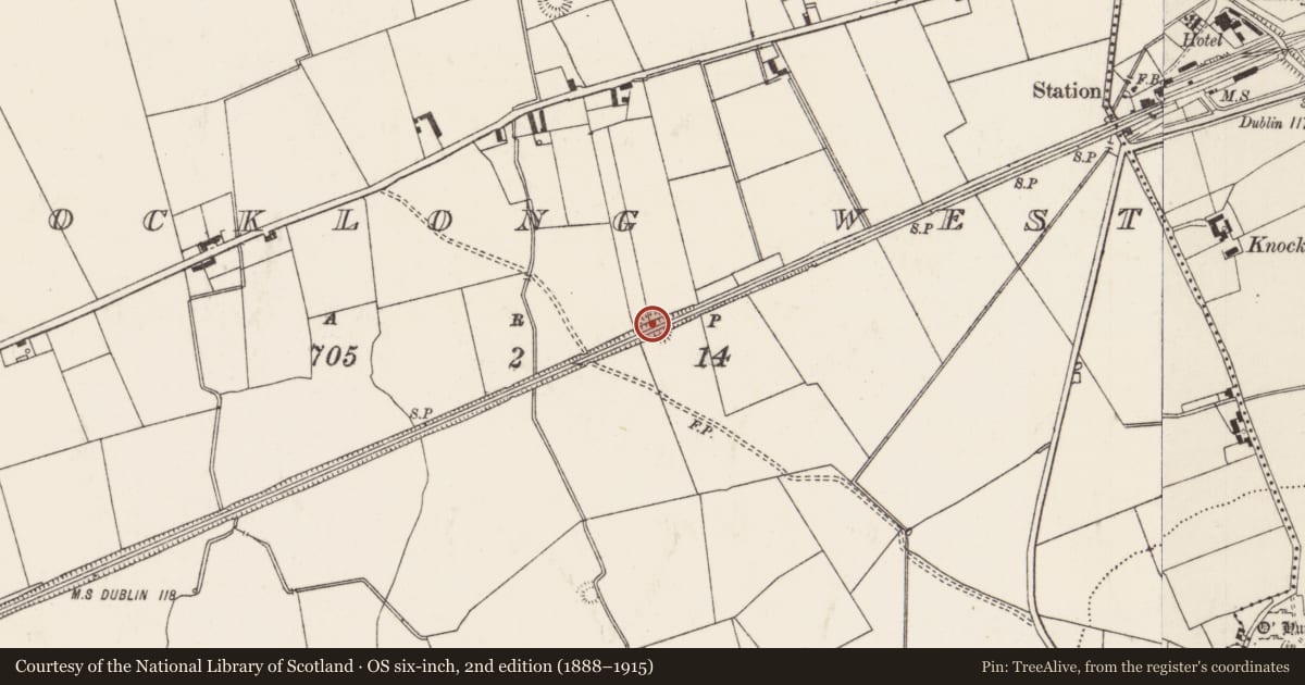 Ordnance Survey six-inch map, 2nd edition (1888–1915) covering the location of Earthwork, Knocklong West, County Limerick, with a pin at the register's coordinates