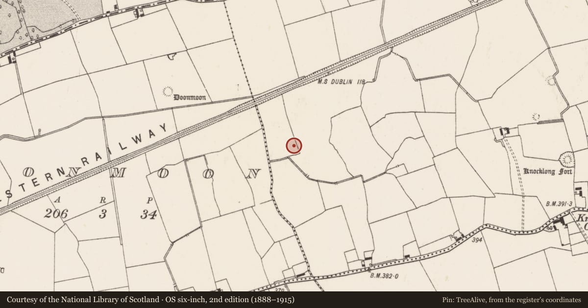 Ordnance Survey six-inch map, 2nd edition (1888–1915) covering the location of Barrow - ditch barrow, Knocklong West, County Limerick, with a pin at the register's coordinates
