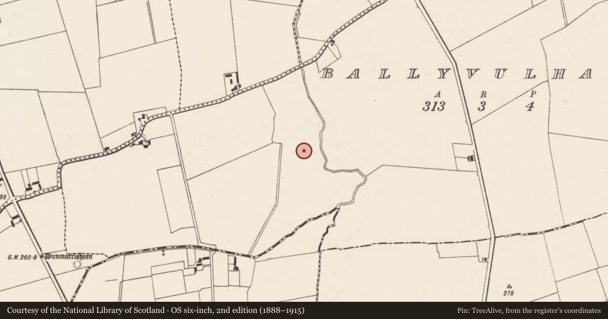 Ordnance Survey six-inch map, 2nd edition (1888–1915) covering the location of Earthwork, Ballyvulhane, County Limerick, with a pin at the register's coordinates