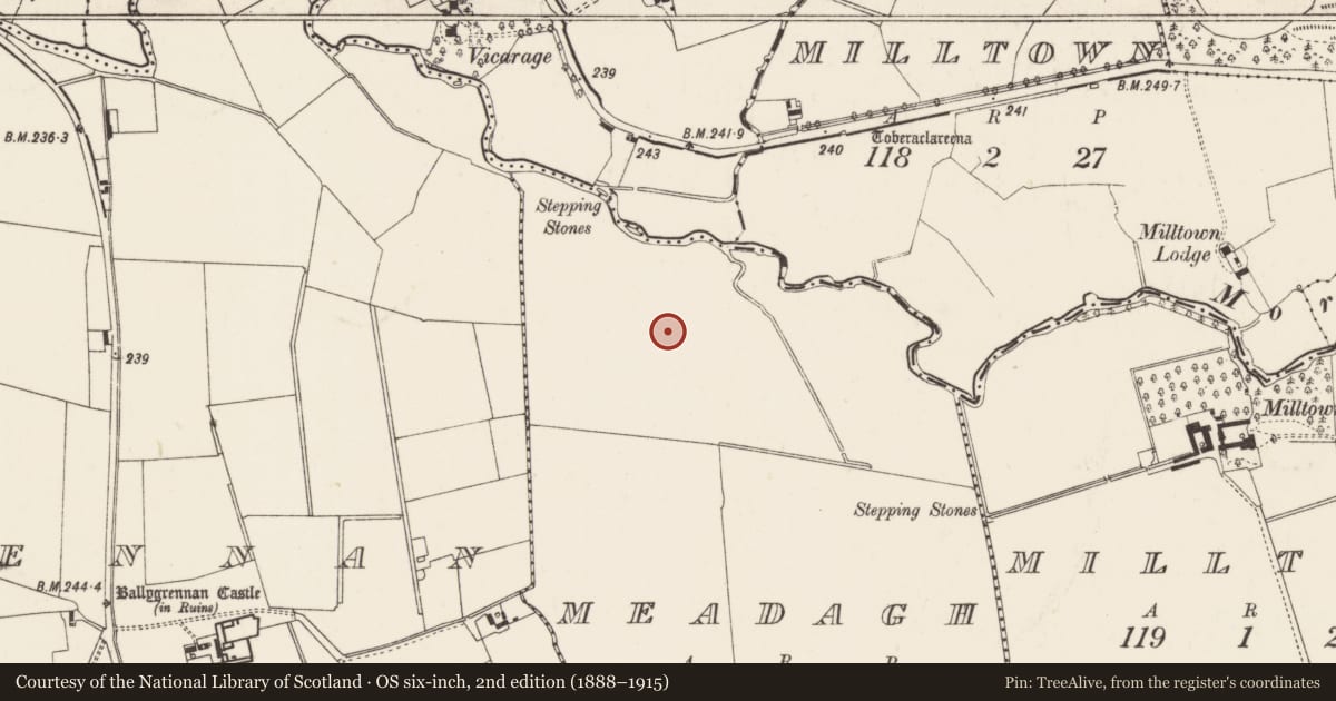 Ordnance Survey six-inch map, 2nd edition (1888–1915) covering the location of Road - road/trackway, Meadagh, County Limerick, with a pin at the register's coordinates