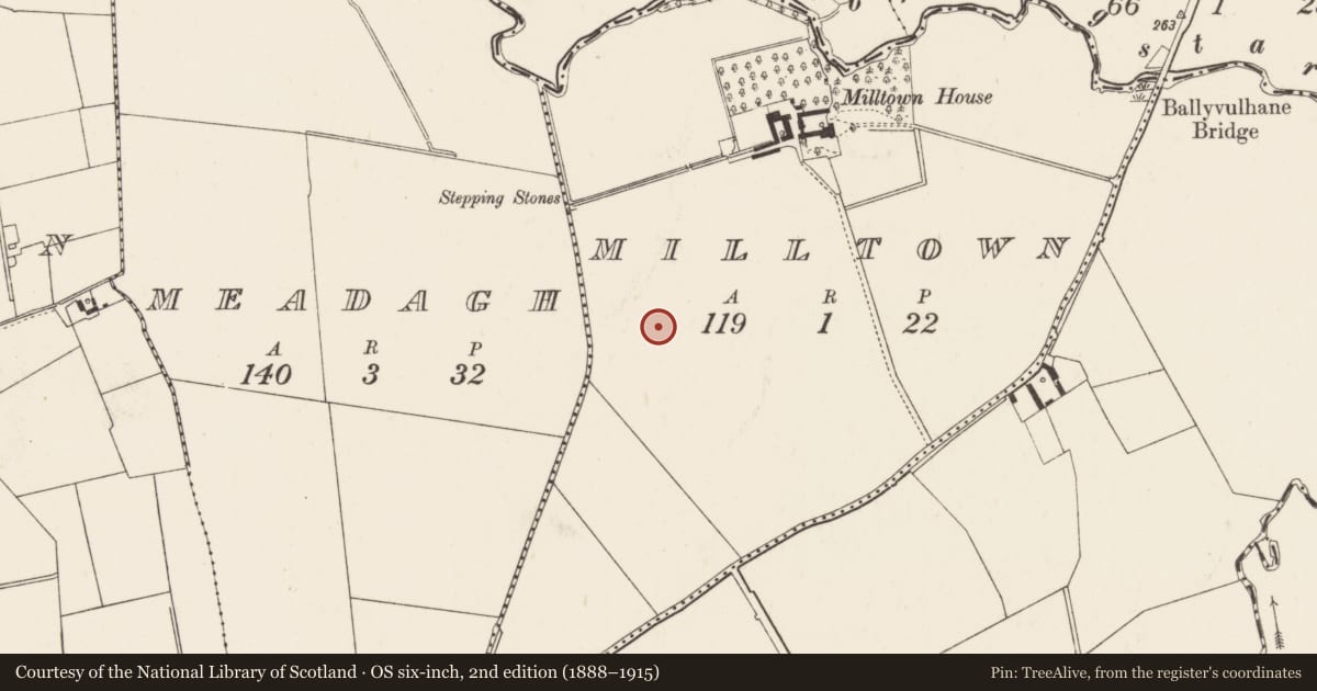 Ordnance Survey six-inch map, 2nd edition (1888–1915) covering the location of Earthwork, Milltown, County Limerick, with a pin at the register's coordinates