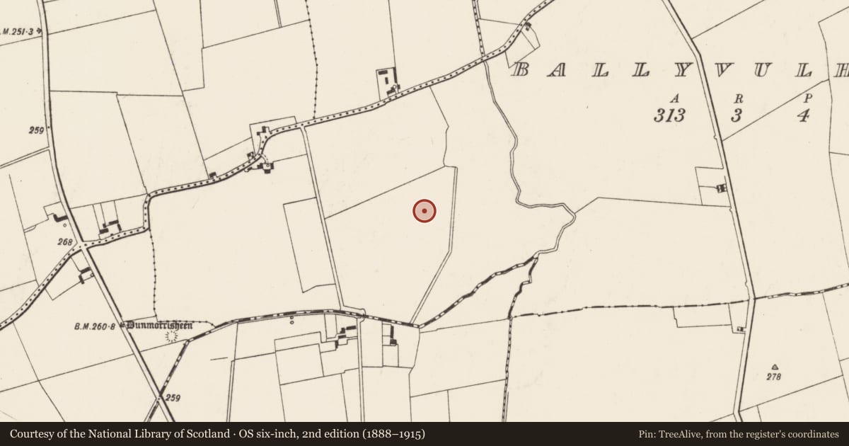 Ordnance Survey six-inch map, 2nd edition (1888–1915) covering the location of Barrow - ditch barrow, Ballyvulhane, County Limerick, with a pin at the register's coordinates