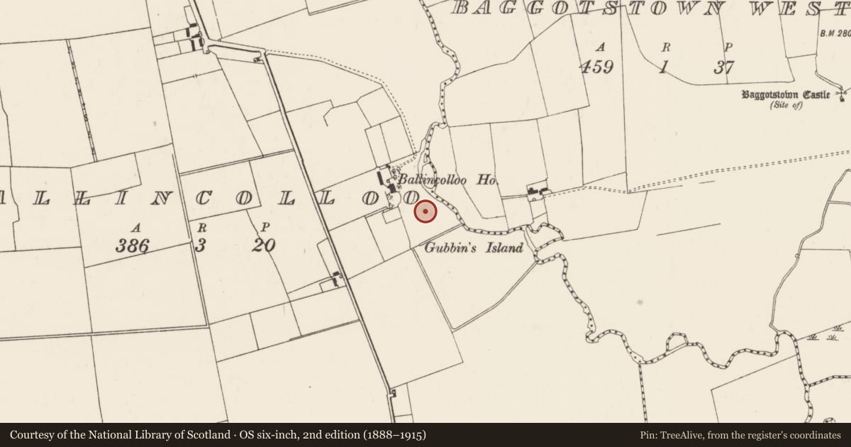 Ordnance Survey six-inch map, 2nd edition (1888–1915) covering the location of Earthwork, Ballincolloo, County Limerick, with a pin at the register's coordinates