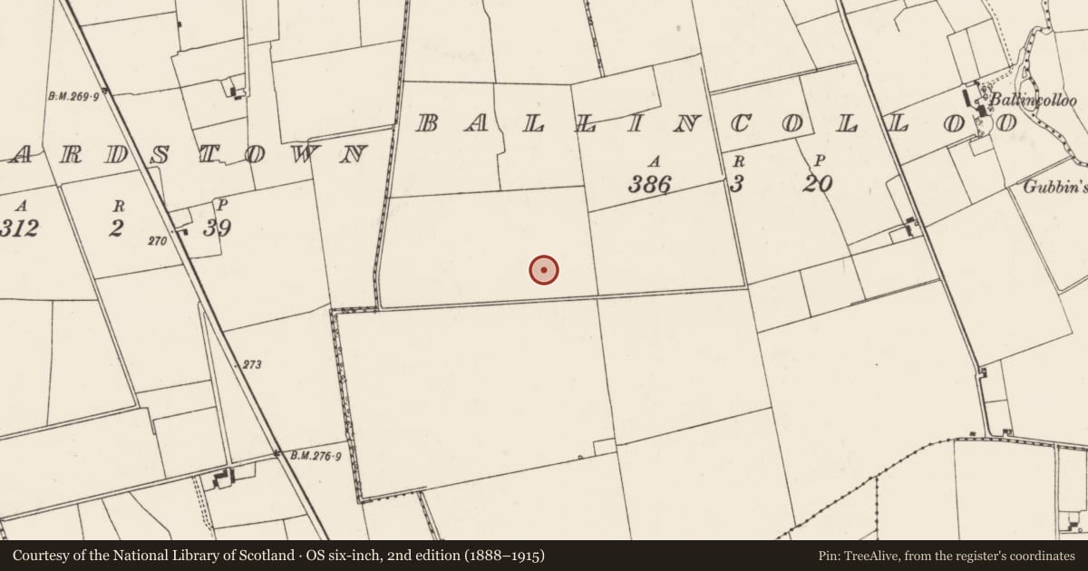 Ordnance Survey six-inch map, 2nd edition (1888–1915) covering the location of Earthwork, Ballincolloo, County Limerick, with a pin at the register's coordinates
