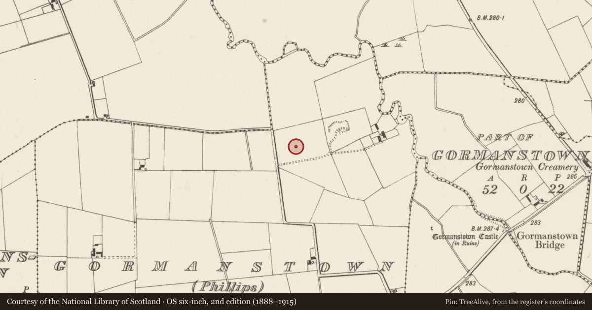 Ordnance Survey six-inch map, 2nd edition (1888–1915) covering the location of Enclosure, Gormanstown (Phillips), County Limerick, with a pin at the register's coordinates