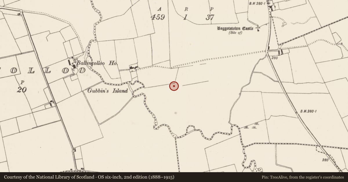 Ordnance Survey six-inch map, 2nd edition (1888–1915) covering the location of Barrow - unclassified, Baggotstown West, County Limerick, with a pin at the register's coordinates