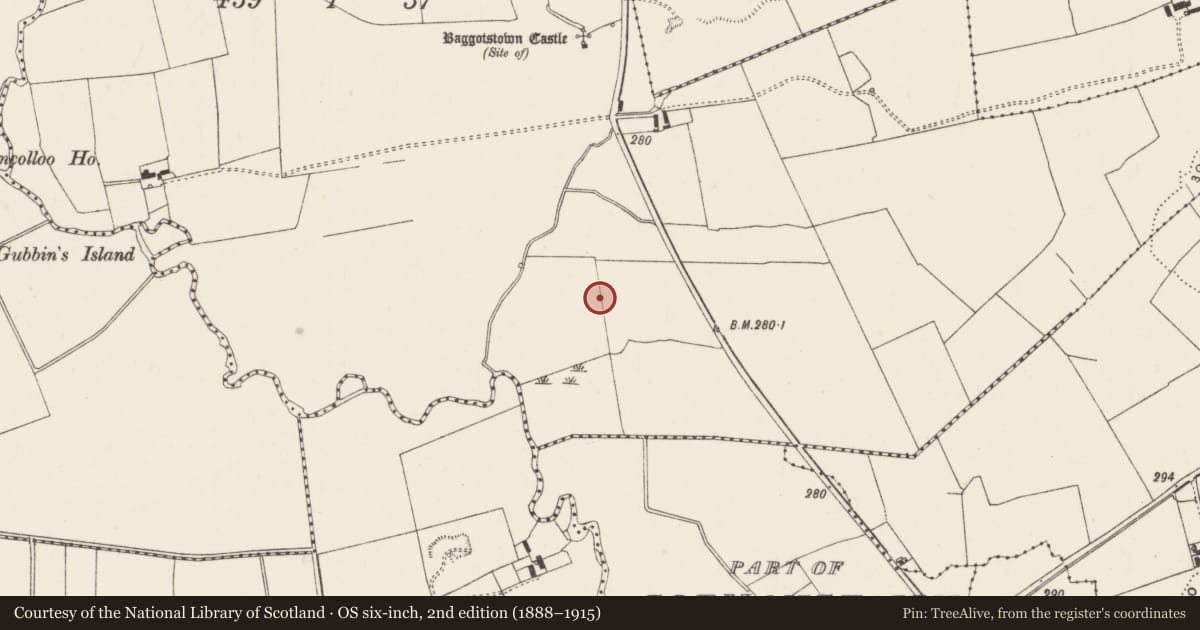 Ordnance Survey six-inch map, 2nd edition (1888–1915) covering the location of Barrow - ditch barrow, Baggotstown West, County Limerick, with a pin at the register's coordinates