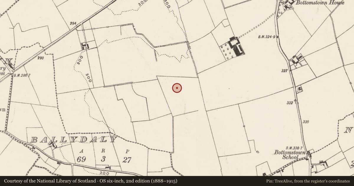 Ordnance Survey six-inch map, 2nd edition (1888–1915) covering the location of Barrow - unclassified, Bottomstown, County Limerick, with a pin at the register's coordinates