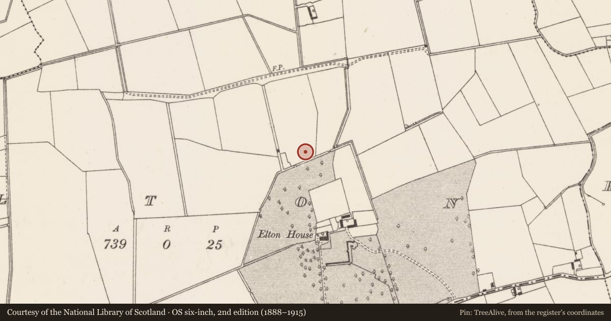 Ordnance Survey six-inch map, 2nd edition (1888–1915) covering the location of Moated site, Elton, County Limerick, with a pin at the register's coordinates