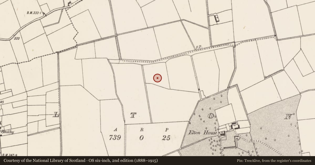 Ordnance Survey six-inch map, 2nd edition (1888–1915) covering the location of Barrow - unclassified, Elton, County Limerick, with a pin at the register's coordinates