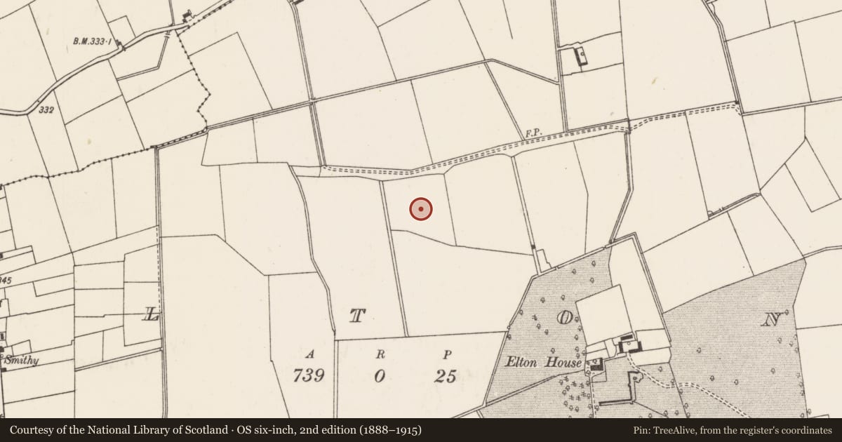 Ordnance Survey six-inch map, 2nd edition (1888–1915) covering the location of Barrow - ditch barrow, Elton, County Limerick, with a pin at the register's coordinates