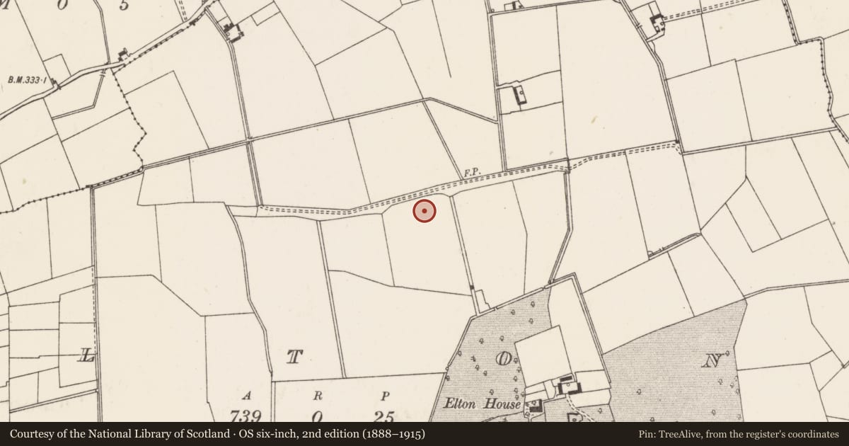 Ordnance Survey six-inch map, 2nd edition (1888–1915) covering the location of Barrow - unclassified, Elton, County Limerick, with a pin at the register's coordinates