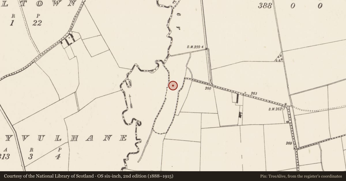 Ordnance Survey six-inch map, 2nd edition (1888–1915) covering the location of Water mill - unclassified, Baggotstown, County Limerick, with a pin at the register's coordinates