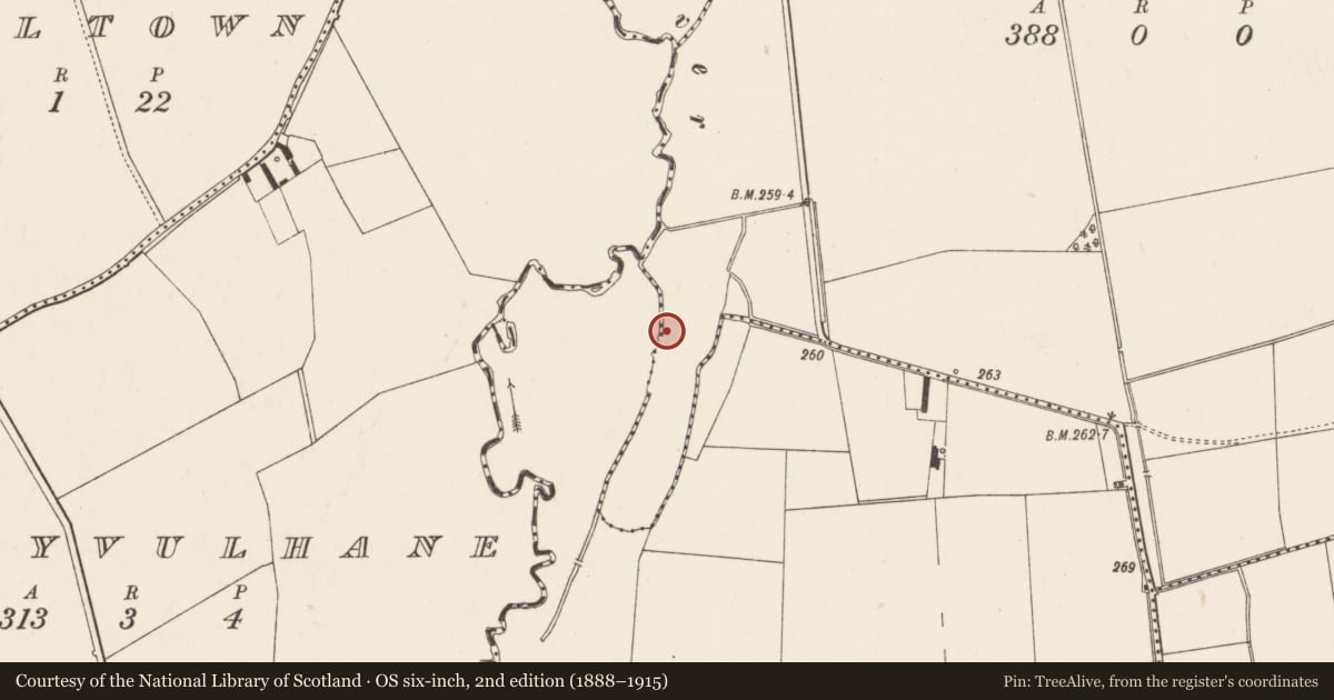 Ordnance Survey six-inch map, 2nd edition (1888–1915) covering the location of Water mill - unclassified, Baggotstown, Baggotstown West, County Limerick, with a pin at the register's coordinates