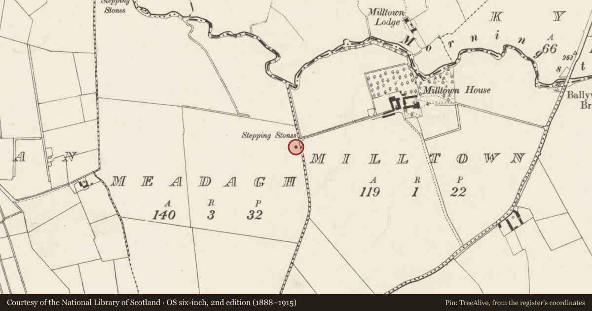 Ordnance Survey six-inch map, 2nd edition (1888–1915) covering the location of Earthwork, Meadagh, County Limerick, with a pin at the register's coordinates