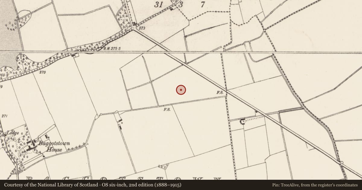 Ordnance Survey six-inch map, 2nd edition (1888–1915) covering the location of Enclosure, Baggotstown, County Limerick, with a pin at the register's coordinates