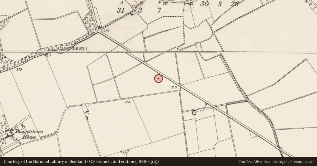 Ordnance Survey six-inch map, 2nd edition (1888–1915) covering the location of Enclosure, Baggotstown, County Limerick, with a pin at the register's coordinates