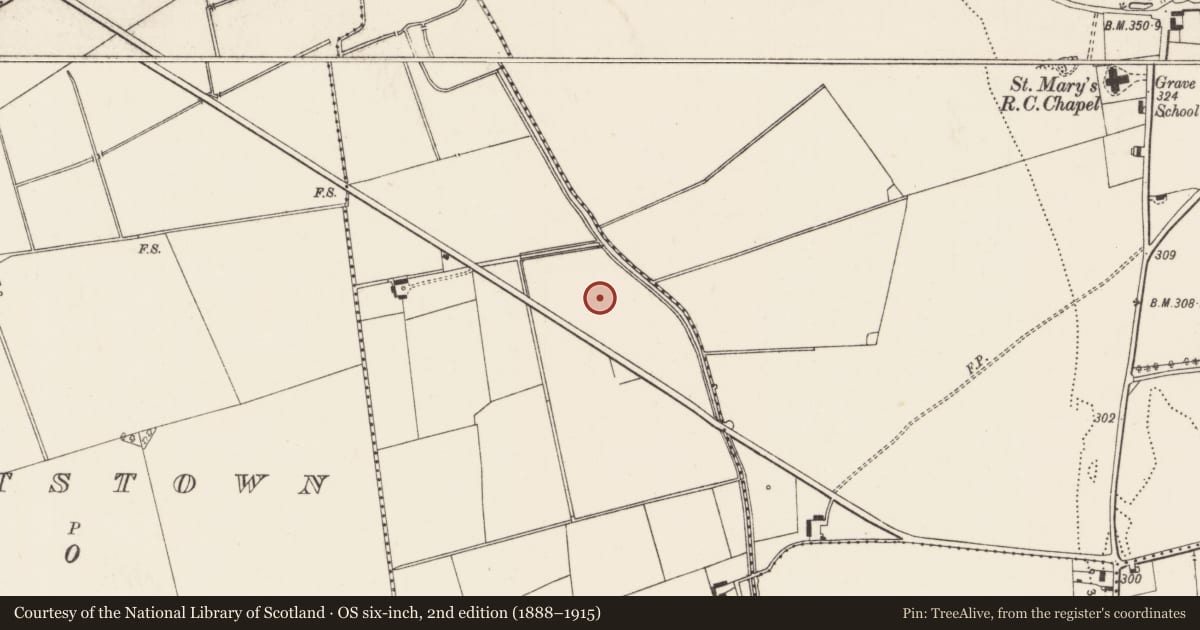 Ordnance Survey six-inch map, 2nd edition (1888–1915) covering the location of Barrow - ditch barrow, Baggotstown East, County Limerick, with a pin at the register's coordinates