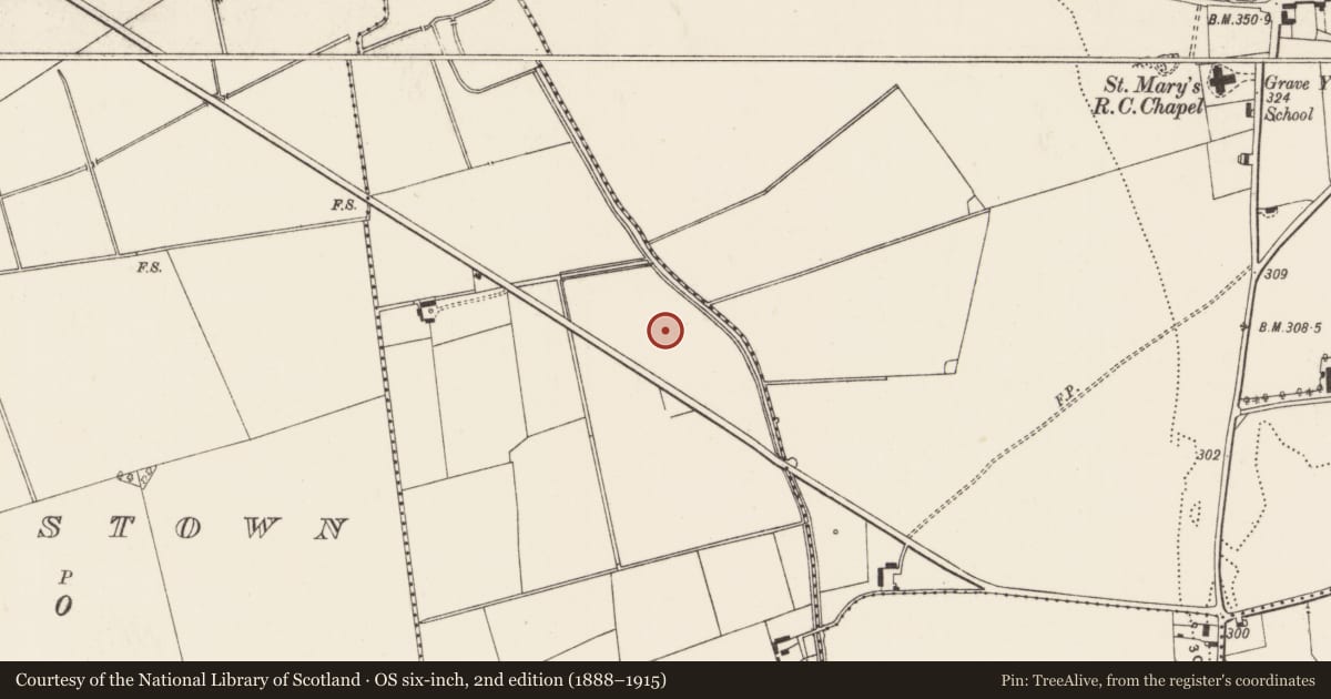Ordnance Survey six-inch map, 2nd edition (1888–1915) covering the location of Barrow - ditch barrow, Baggotstown East, County Limerick, with a pin at the register's coordinates