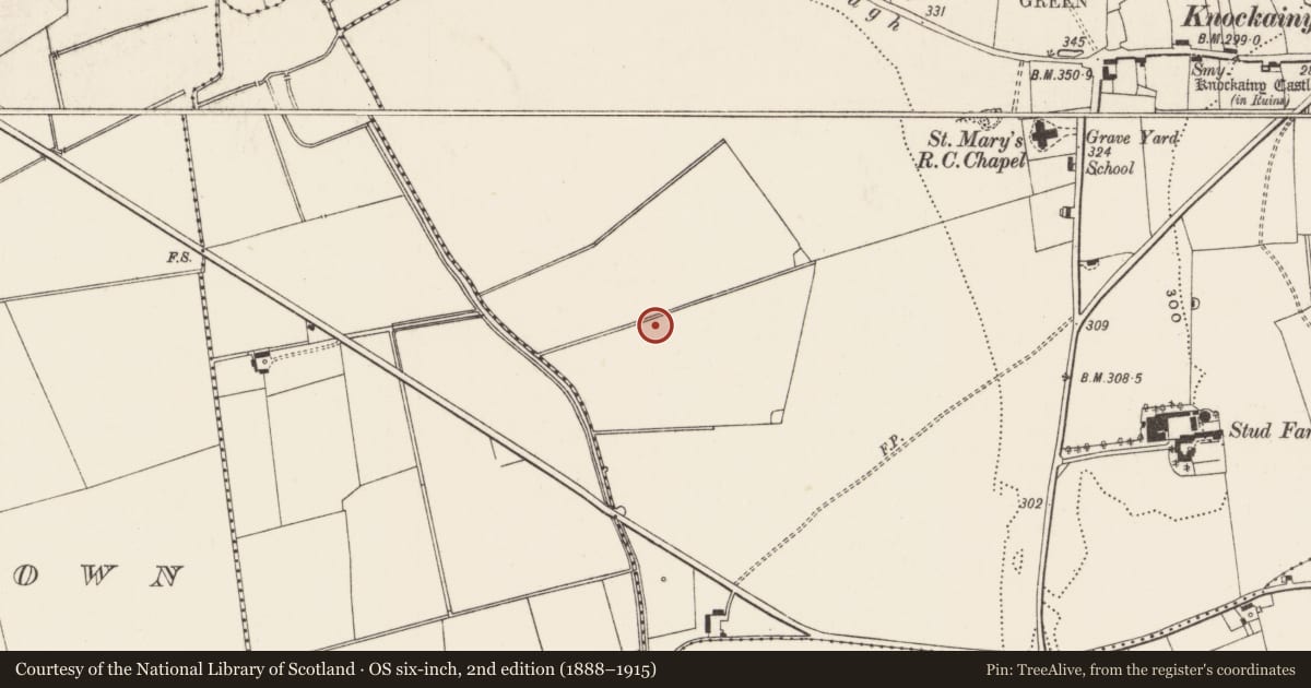 Ordnance Survey six-inch map, 2nd edition (1888–1915) covering the location of Earthwork, Knockainy West, County Limerick, with a pin at the register's coordinates