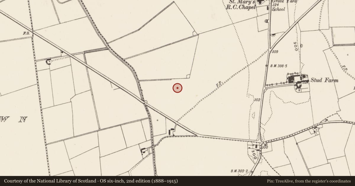 Ordnance Survey six-inch map, 2nd edition (1888–1915) covering the location of Enclosure, Knockainy West, County Limerick, with a pin at the register's coordinates
