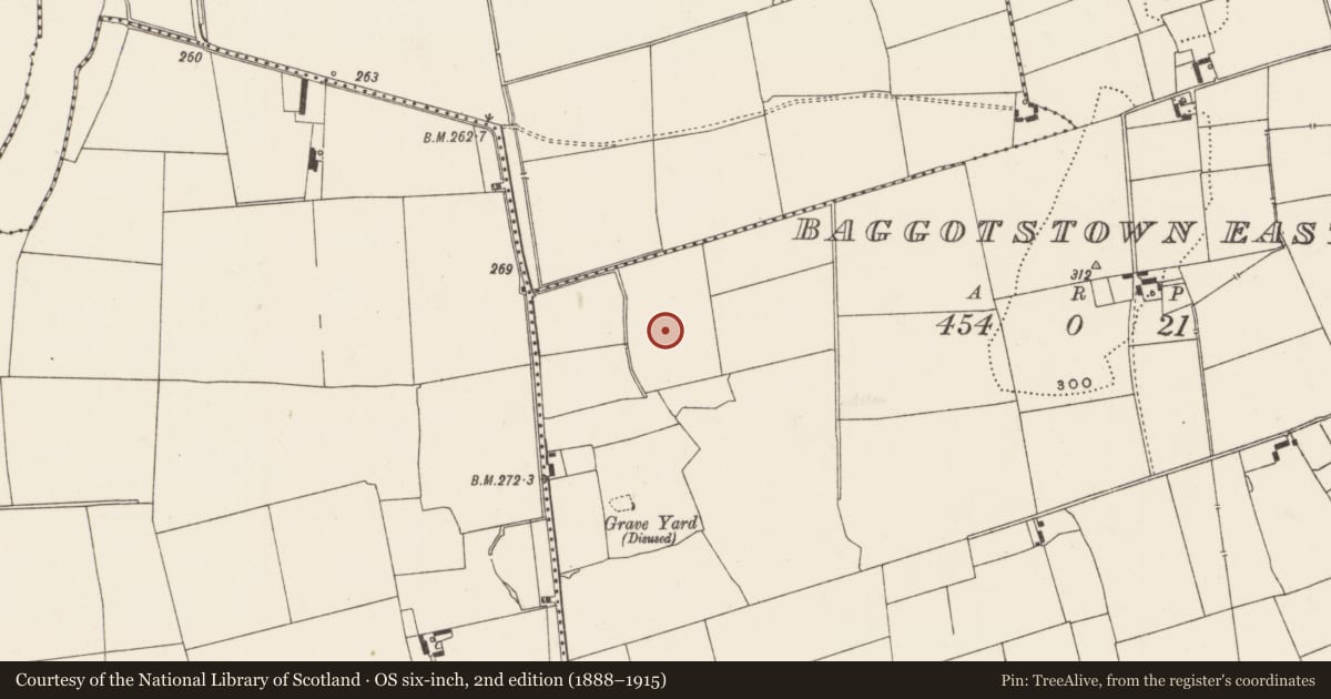 Ordnance Survey six-inch map, 2nd edition (1888–1915) covering the location of Earthwork, Baggotstown East, County Limerick, with a pin at the register's coordinates