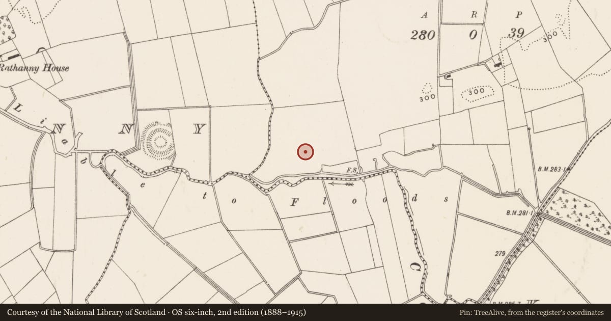 Ordnance Survey six-inch map, 2nd edition (1888–1915) covering the location of Barrow - unclassified, Gotoon, County Limerick, with a pin at the register's coordinates
