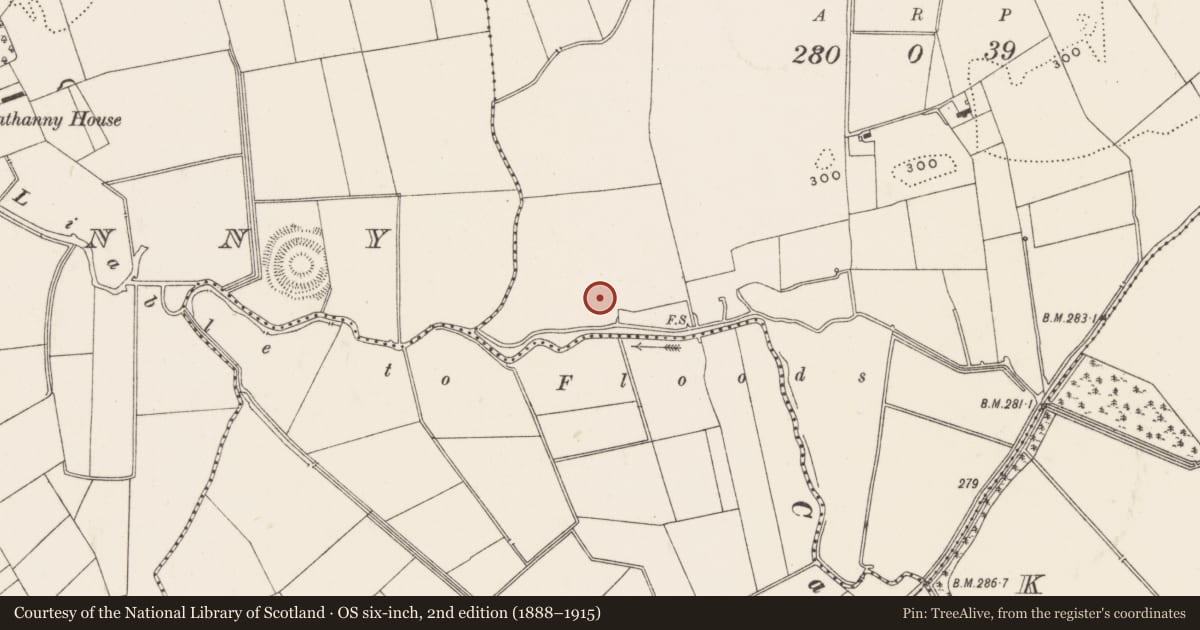 Ordnance Survey six-inch map, 2nd edition (1888–1915) covering the location of Barrow - unclassified, Gotoon, County Limerick, with a pin at the register's coordinates