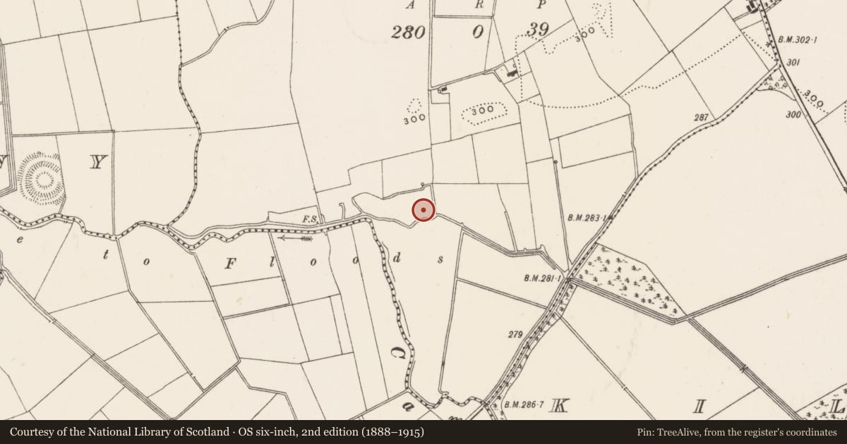 Ordnance Survey six-inch map, 2nd edition (1888–1915) covering the location of Barrow - unclassified, Gotoon, County Limerick, with a pin at the register's coordinates
