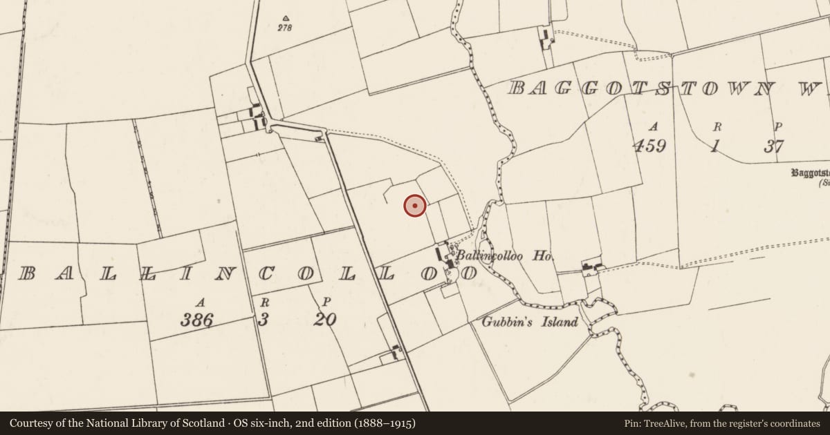 Ordnance Survey six-inch map, 2nd edition (1888–1915) covering the location of Earthwork, Ballincolloo, County Limerick, with a pin at the register's coordinates