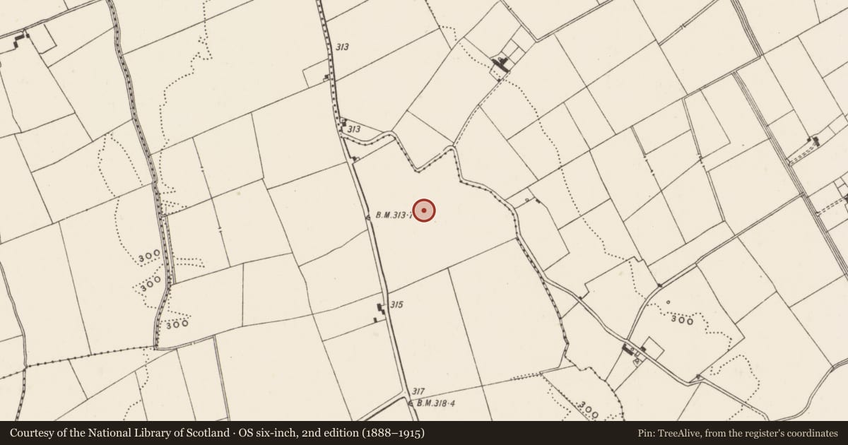 Ordnance Survey six-inch map, 2nd edition (1888–1915) covering the location of Earthwork, Bottomstown, County Limerick, with a pin at the register's coordinates