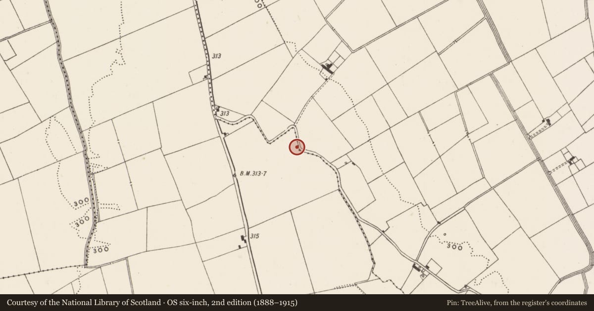 Ordnance Survey six-inch map, 2nd edition (1888–1915) covering the location of Barrow - unclassified, Bottomstown, County Limerick, with a pin at the register's coordinates