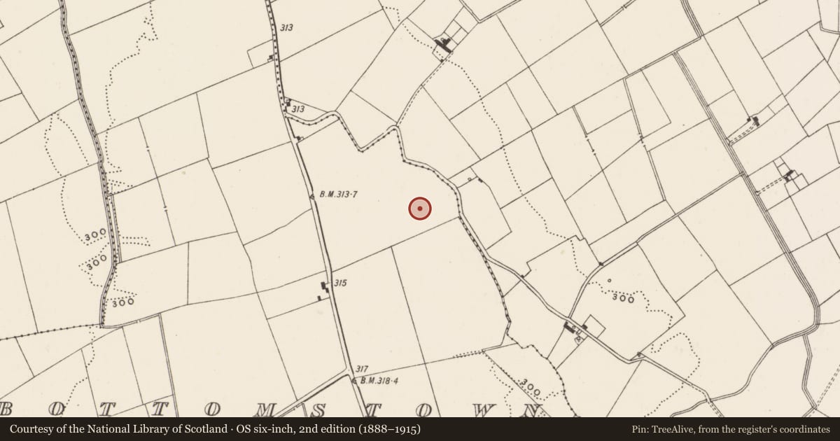 Ordnance Survey six-inch map, 2nd edition (1888–1915) covering the location of Barrow - ditch barrow, Bottomstown, County Limerick, with a pin at the register's coordinates