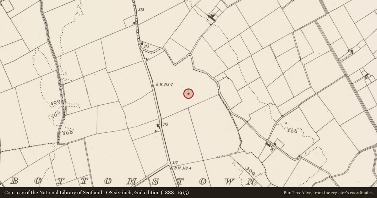 Ordnance Survey six-inch map, 2nd edition (1888–1915) covering the location of Barrow - unclassified, Bottomstown, County Limerick, with a pin at the register's coordinates
