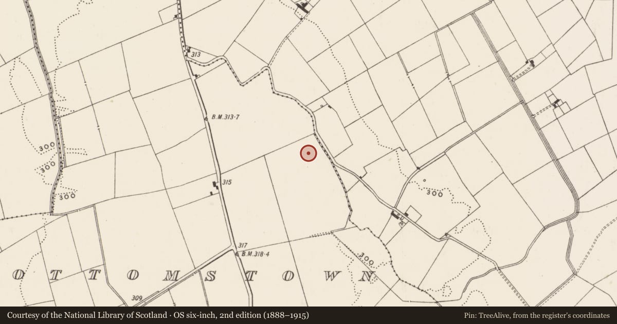 Ordnance Survey six-inch map, 2nd edition (1888–1915) covering the location of Barrow - unclassified, Bottomstown, County Limerick, with a pin at the register's coordinates