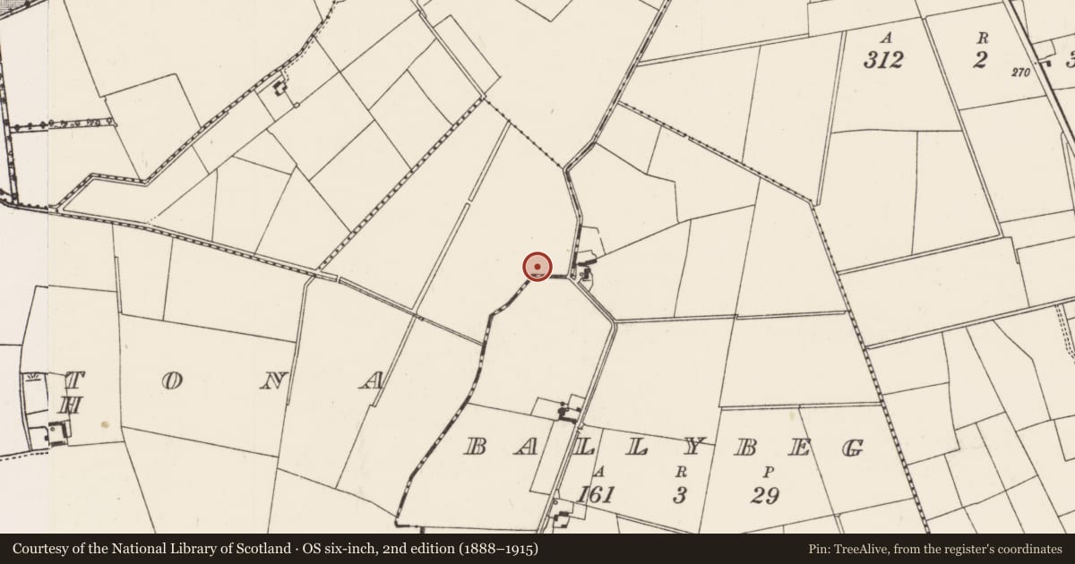 Ordnance Survey six-inch map, 2nd edition (1888–1915) covering the location of Barrow - ditch barrow, Ballinstona North, County Limerick, with a pin at the register's coordinates