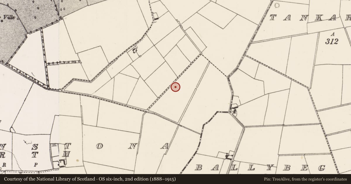 Ordnance Survey six-inch map, 2nd edition (1888–1915) covering the location of Barrow - unclassified, Ballinstona North, County Limerick, with a pin at the register's coordinates