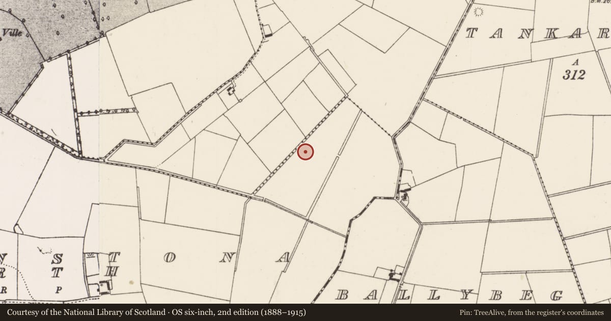 Ordnance Survey six-inch map, 2nd edition (1888–1915) covering the location of Barrow - unclassified, Ballinstona North, County Limerick, with a pin at the register's coordinates