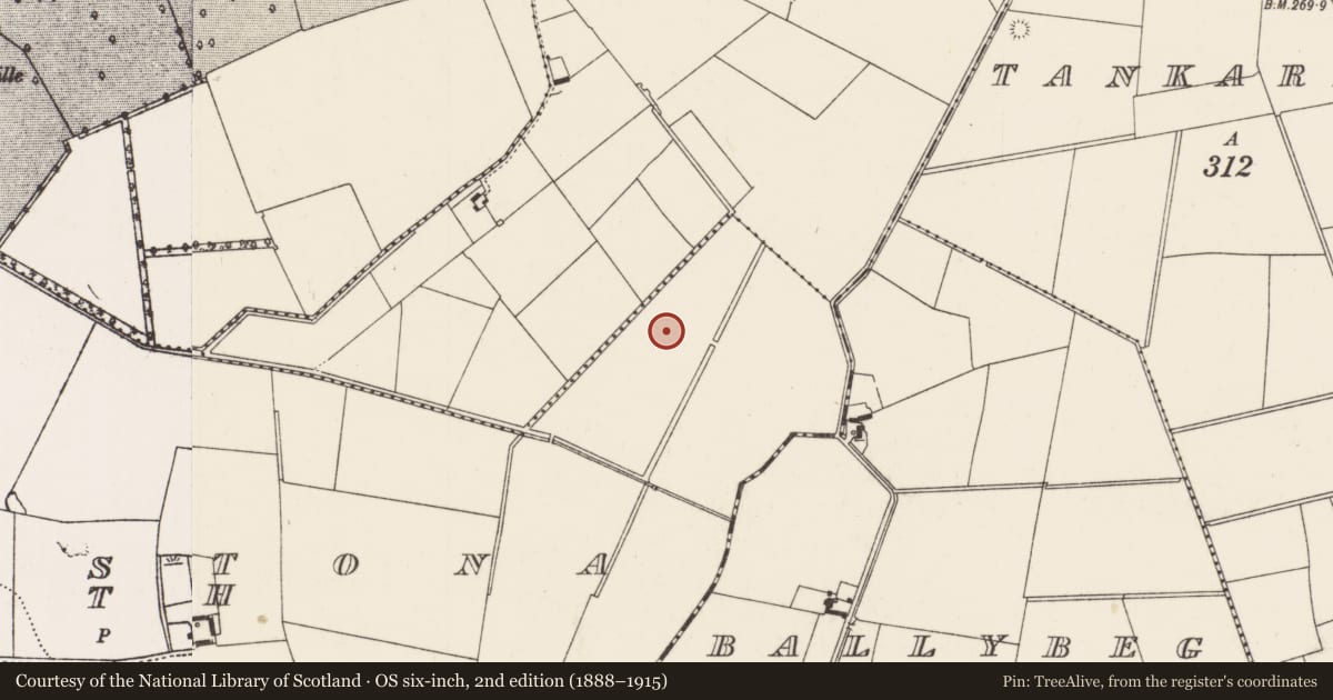 Ordnance Survey six-inch map, 2nd edition (1888–1915) covering the location of Barrow - ditch barrow, Ballinstona North, County Limerick, with a pin at the register's coordinates