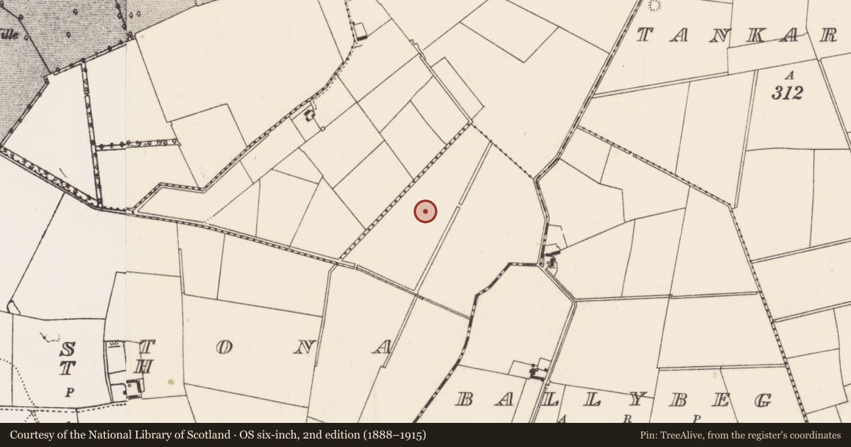 Ordnance Survey six-inch map, 2nd edition (1888–1915) covering the location of Enclosure - large enclosure, Ballinstona North, County Limerick, with a pin at the register's coordinates