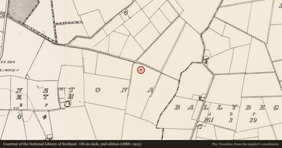 Ordnance Survey six-inch map, 2nd edition (1888–1915) covering the location of Earthwork, Ballinstona North, County Limerick, with a pin at the register's coordinates