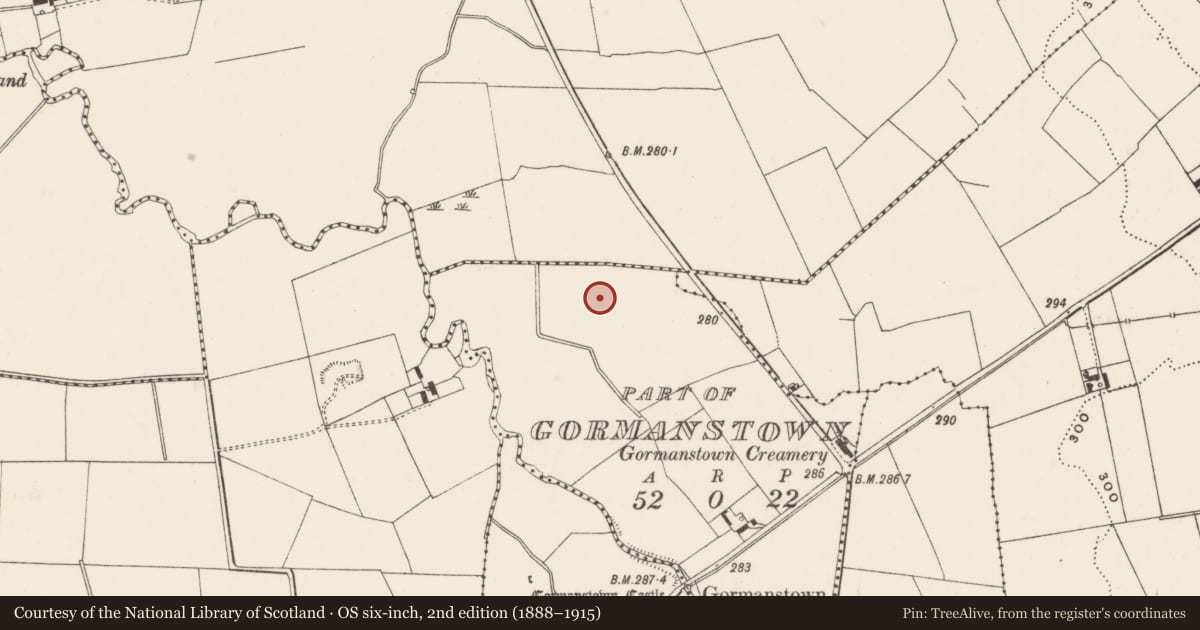 Ordnance Survey six-inch map, 2nd edition (1888–1915) covering the location of Barrow - ditch barrow, Gormanstown, County Limerick, with a pin at the register's coordinates